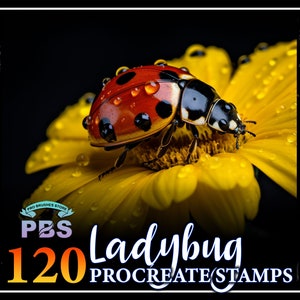May include: A set of 120 ladybug Procreate stamps. The image shows a red and black ladybug with water droplets on its back, perched on a yellow flower.