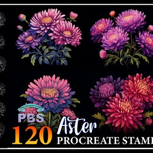 Può includere: Un set di 120 timbri Procreate con fiori di aster vibranti di colore viola, rosa e rosso. I timbri sono perfetti per aggiungere un tocco di bellezza floreale ai progetti di arte digitale.