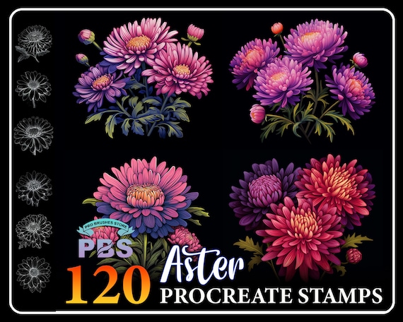 120 Aster Flower Stamps for Procreate (Digital Download)