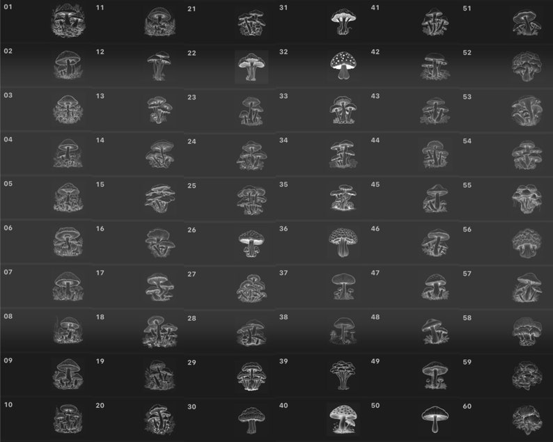 120 Realistic Mushroom Procreate Stamps (digital Download) - Etsy