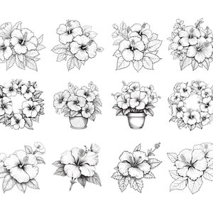 120 Procreate Hibiscus Stamps, Hibiscus brush for procreate, Flower procreate stamp, instant digital download. image 4