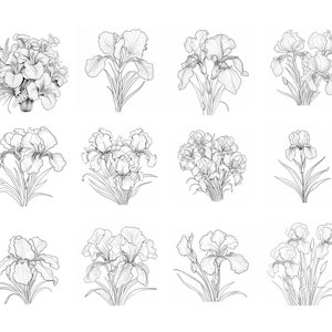 Pode incluir: Um conjunto de doze desenhos em preto e branco de flores de &iacute;ris. Os desenhos s&atilde;o de v&aacute;rios estilos, alguns com mais detalhes do que outros. As flores est&atilde;o todas em flor e t&ecirc;m uma variedade de formas e tamanhos.