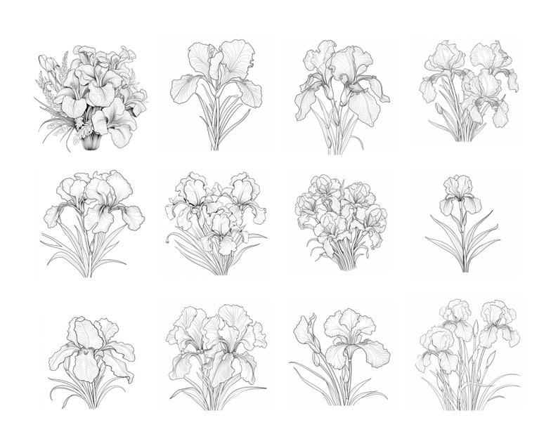 Pode incluir: Um conjunto de doze desenhos em preto e branco de flores de &iacute;ris. Os desenhos s&atilde;o de v&aacute;rios estilos, alguns com mais detalhes do que outros. As flores est&atilde;o todas em flor e t&ecirc;m uma variedade de formas e tamanhos.
