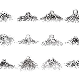 May include: A set of twelve black and white line drawings of tree roots. Each drawing depicts a different shape and style of root system.
