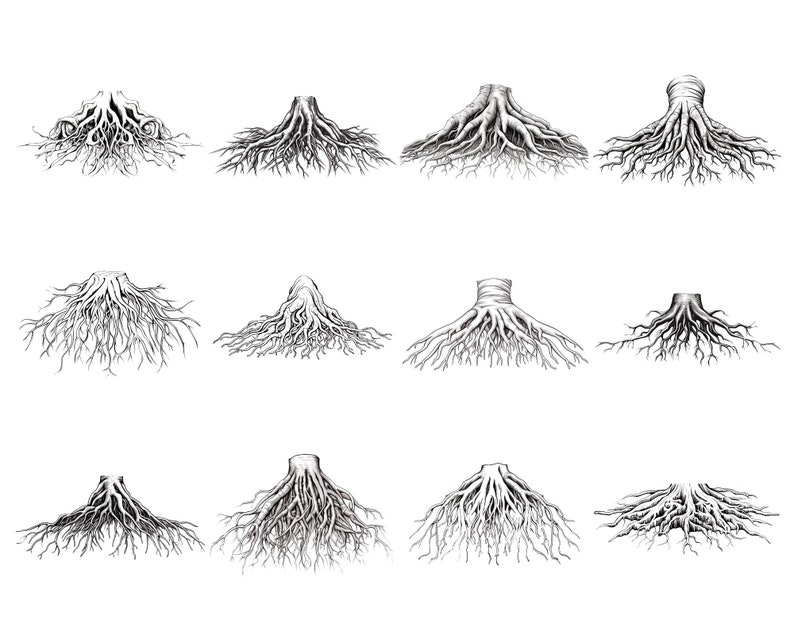 Buy 120 Procreate Root Stamps Tree Roots Brush for Procreate Online in