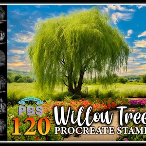 May include: A set of 120 Procreate stamps featuring a weeping willow tree in various poses. The stamps are designed for use in digital art and illustration.