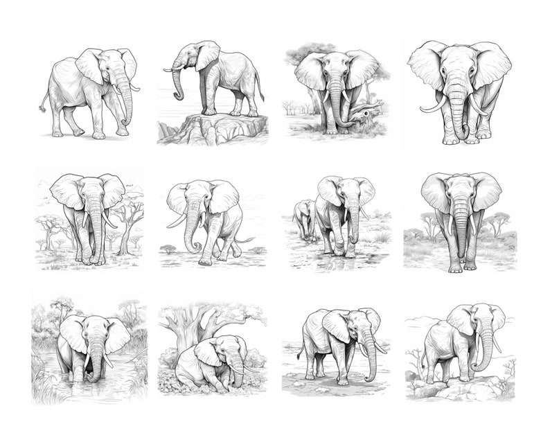 May include: A collection of 12 black and white pencil drawings of elephants in various poses. Some elephants are walking, some are standing, and some are in a resting position. The drawings are set against a background of trees and bushes.