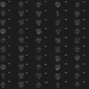 Pode incluir: Uma imagem em preto e branco de 120 ilustra&ccedil;&otilde;es diferentes de flores de &iacute;ris. Cada ilustra&ccedil;&atilde;o &eacute; numerada de 61 a 120.