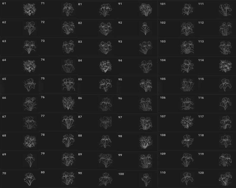 Pode incluir: Uma imagem em preto e branco de 120 ilustra&ccedil;&otilde;es diferentes de flores de &iacute;ris. Cada ilustra&ccedil;&atilde;o &eacute; numerada de 61 a 120.