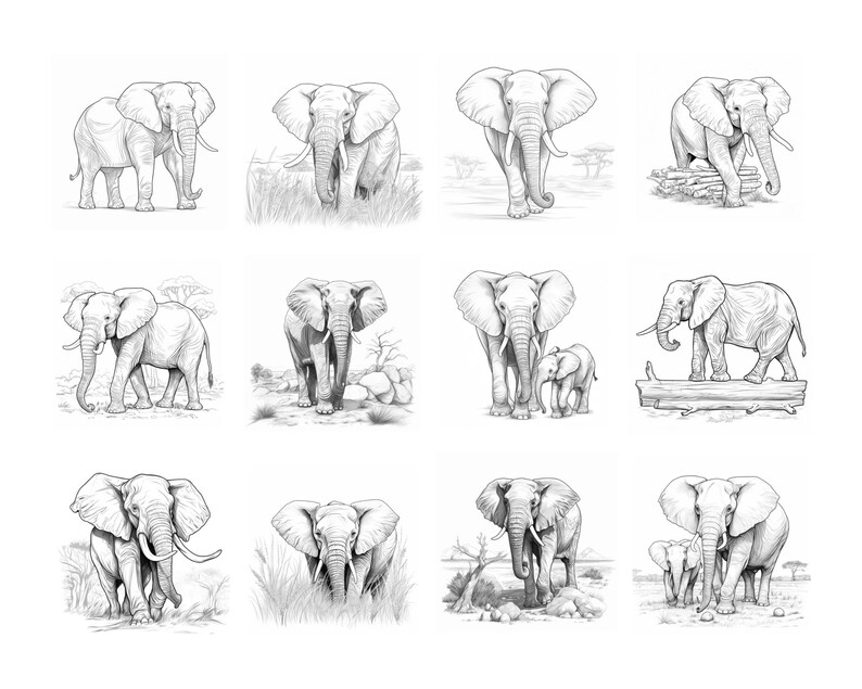 May include: A collection of 12 black and white pencil drawings of elephants in various poses. Some elephants are standing, some are walking, and some are standing with their young. The drawings are set against a background of trees and grass.