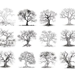 Puede incluir: Una colecci&oacute;n de doce dibujos en blanco y negro de &aacute;rboles desnudos. Cada &aacute;rbol est&aacute; dibujado en un estilo realista con ramas intrincadas y un tronco grueso.