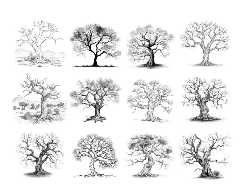 Puede incluir: Una colecci&oacute;n de doce dibujos en blanco y negro de &aacute;rboles desnudos. Cada &aacute;rbol est&aacute; dibujado en un estilo realista con ramas intrincadas y un tronco grueso.