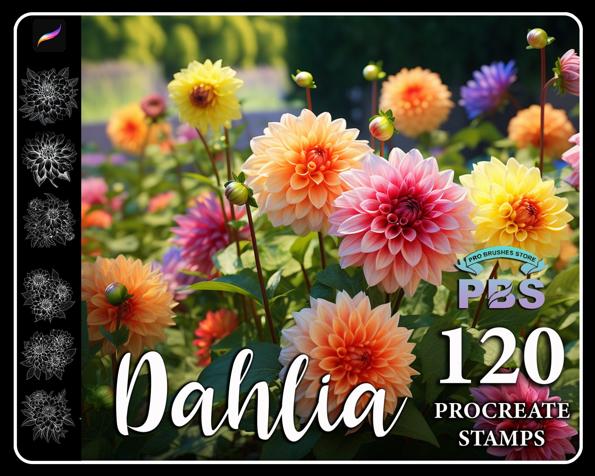120 Dahlia Procreate Stamps: Flower Brush Set (digital Download) - Etsy