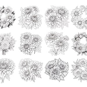May include: A set of twelve black and white line drawings of chrysanthemum flowers in various arrangements, including wreaths, bouquets, and single blooms.