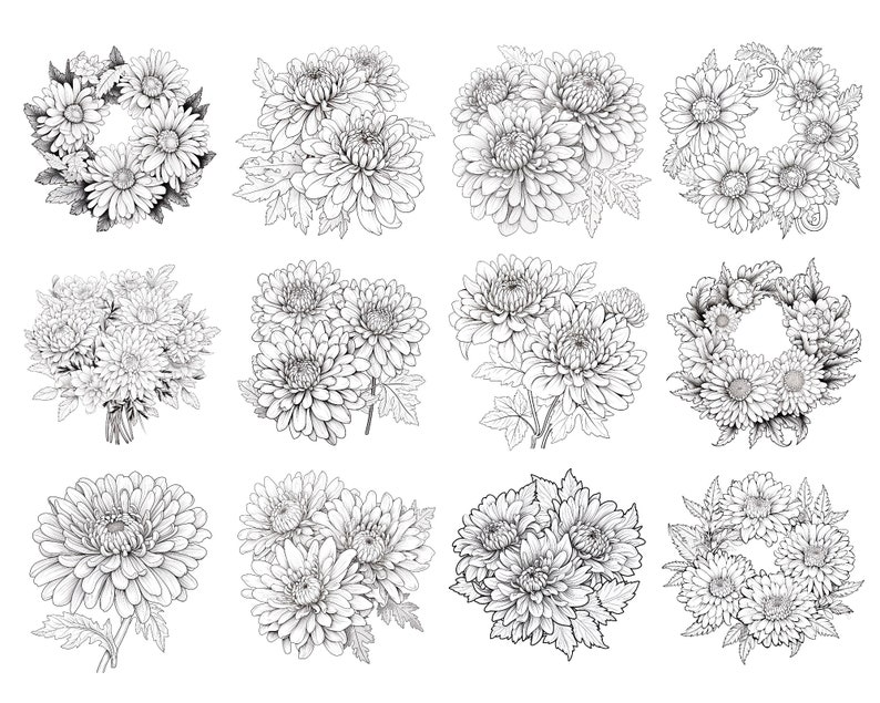 May include: A set of twelve black and white line drawings of chrysanthemum flowers in various arrangements, including wreaths, bouquets, and single blooms.