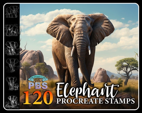120 Realistic Elephant Procreate Stamps: Wild Animal Brush (Digital Download)