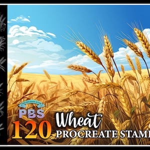 120 Procreate Wheat Stamps, Wheat brush for procreate, Plant procreate stamp, Wheat Field procreate stamp.