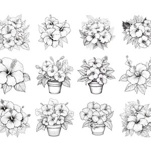 120 Procreate Hibiscus Stamps, Hibiscus brush for procreate, Flower procreate stamp, instant digital download. image 5
