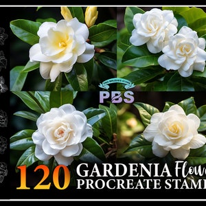120 Sellos Procreate Gardenia, Cepillo Gardenia para procrear, Sello procreado Gardenia Flower