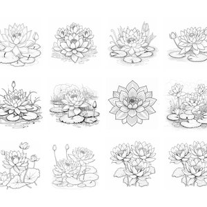 May include: A set of ten black and white line drawings of lotus flowers. The flowers are drawn in a realistic style and are shown in various stages of bloom. The drawings are perfect for use in coloring books, greeting cards, or other creative projects.