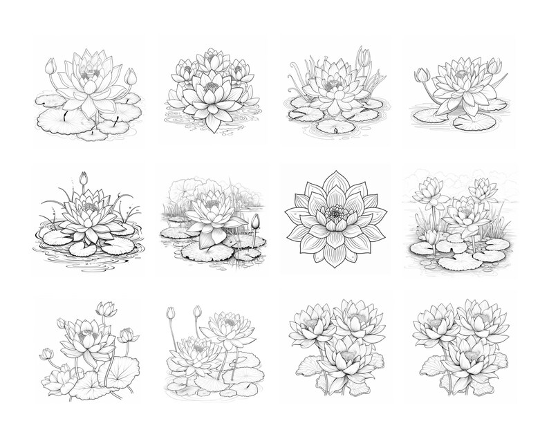 May include: A set of ten black and white line drawings of lotus flowers. The flowers are drawn in a realistic style and are shown in various stages of bloom. The drawings are perfect for use in coloring books, greeting cards, or other creative projects.