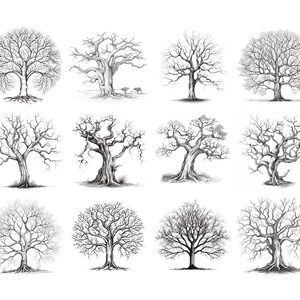 Puede incluir: Una colecci&oacute;n de doce dibujos a l&aacute;piz en blanco y negro de &aacute;rboles desnudos. Los &aacute;rboles est&aacute;n dibujados en un estilo realista y tienen una variedad de formas y tama&ntilde;os.