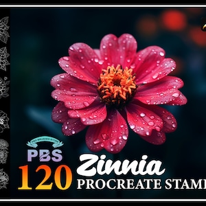 120 Procreate Zinnia Stamps, Zinnia Flower Stamps for procreate, Flower procreate stamp, Flower brush procreate