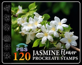 120 Procreate Jasmine Stamps, Jasmine Flower Stamps for procreate, Flower procreate stamp, Flower brush procreate