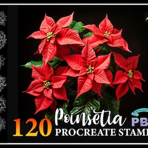 120 Procreate Poinsettia Stamps, Poinsettia Flower brush for procreate, Poinsettia Flower procreate stamp