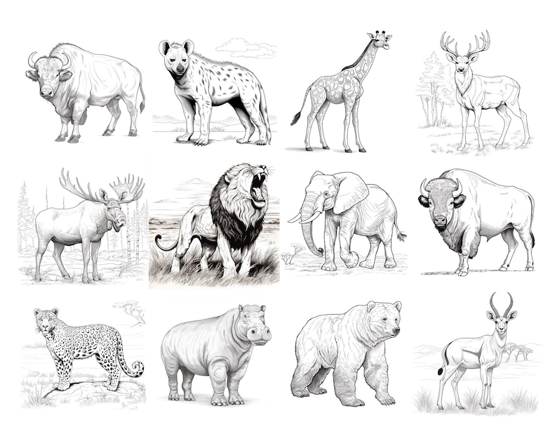 120 Wild Animals Procreate Stamps: Wildlife Brush Set (digital Download ...