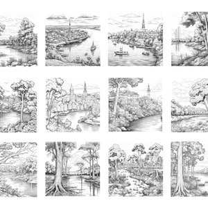 May include: A collection of 12 black and white line drawings depicting various scenes of rivers and forests. The drawings feature trees, rivers, and buildings in the background.