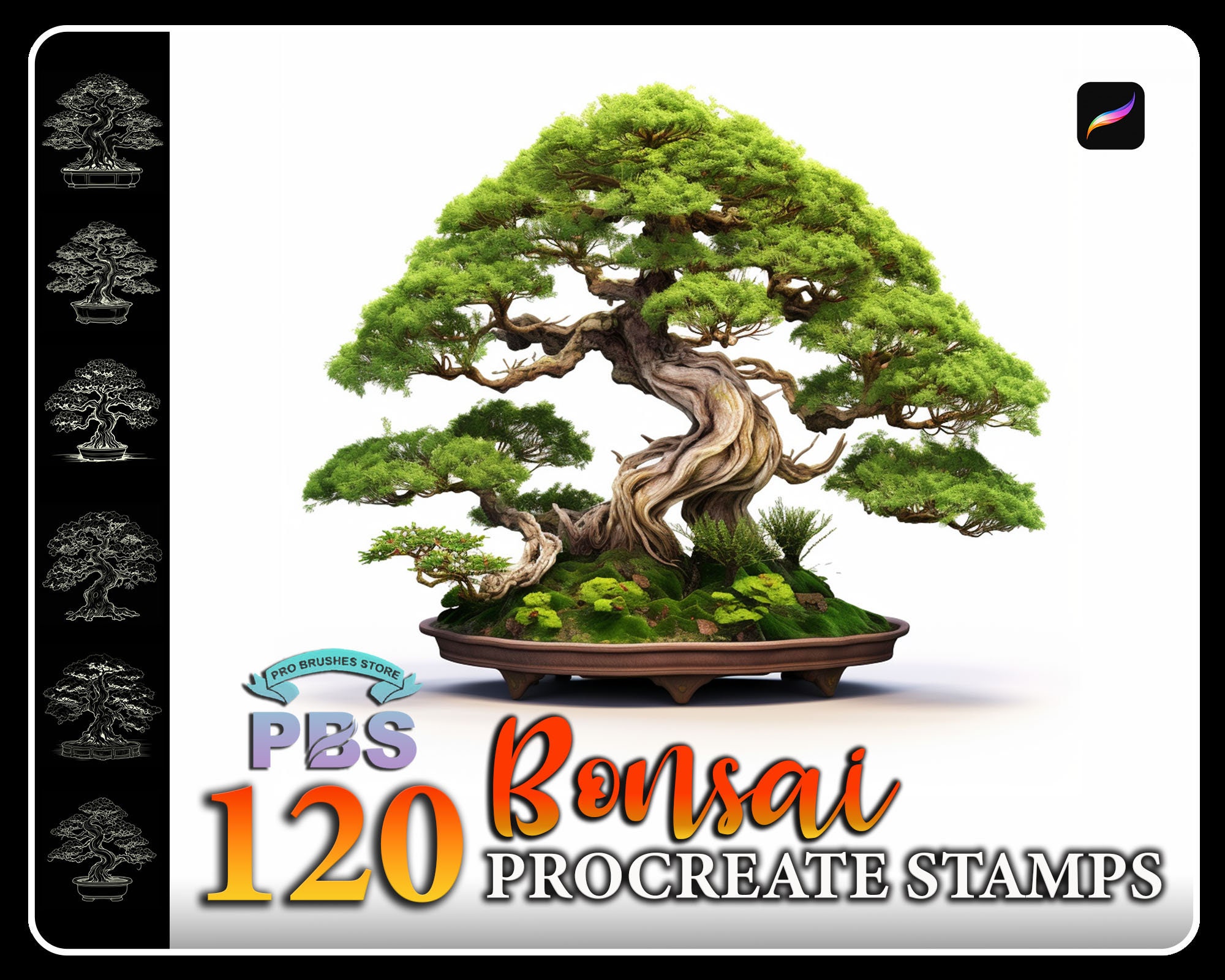 120 Procreate Bonsai Stamps, Bonsai pour procréer, Plant procreate stamp, Tree Stamp Procreate.