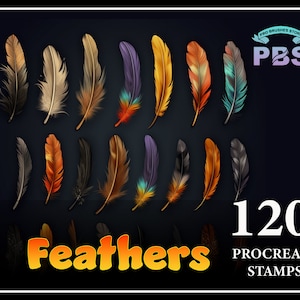 120 Procreate Feather Stamps, Feather stamps for procreate, Feather brushes