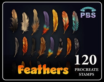 120 Procreate Feather Stamps, Feather stamps for procreate, Feather brushes