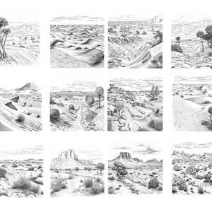 May include: A collection of nine black and white pencil drawings depicting various desert landscapes. Each drawing features different desert plants, rock formations, and sand dunes.