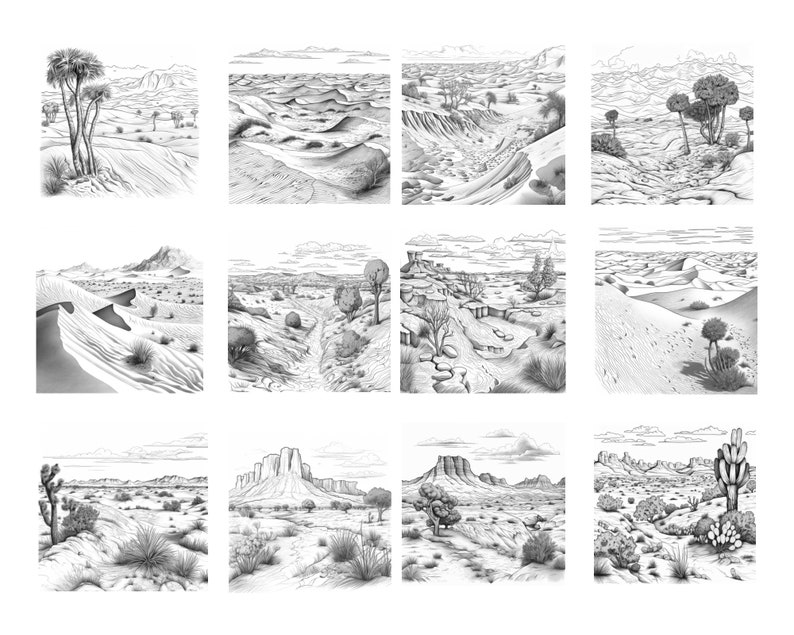 May include: A collection of nine black and white pencil drawings depicting various desert landscapes. Each drawing features different desert plants, rock formations, and sand dunes.