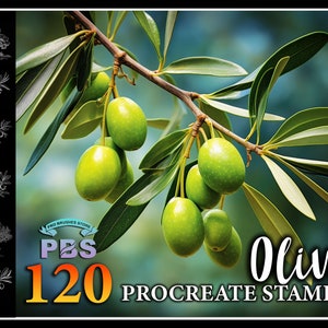 120 Procreate Olive Stamps, Olive brush for procreate, Olive tree Design, Plant Procreate stamp