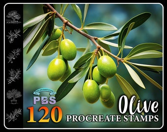 120 Procreate Olive Stamps, Olive brush for procreate, Olive tree Design, Plant Procreate stamp