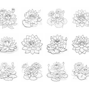 May include: A set of ten black and white line drawings of lotus flowers. The flowers are drawn in a realistic style and are shown in various stages of bloom. The drawings are perfect for use in a variety of creative projects, such as scrapbooking, card making, and digital art.