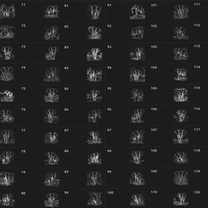 May include: A black and white image of 120 different illustrations of elephants. Each illustration is framed in a white square. The illustrations are arranged in 10 rows of 12 images each.
