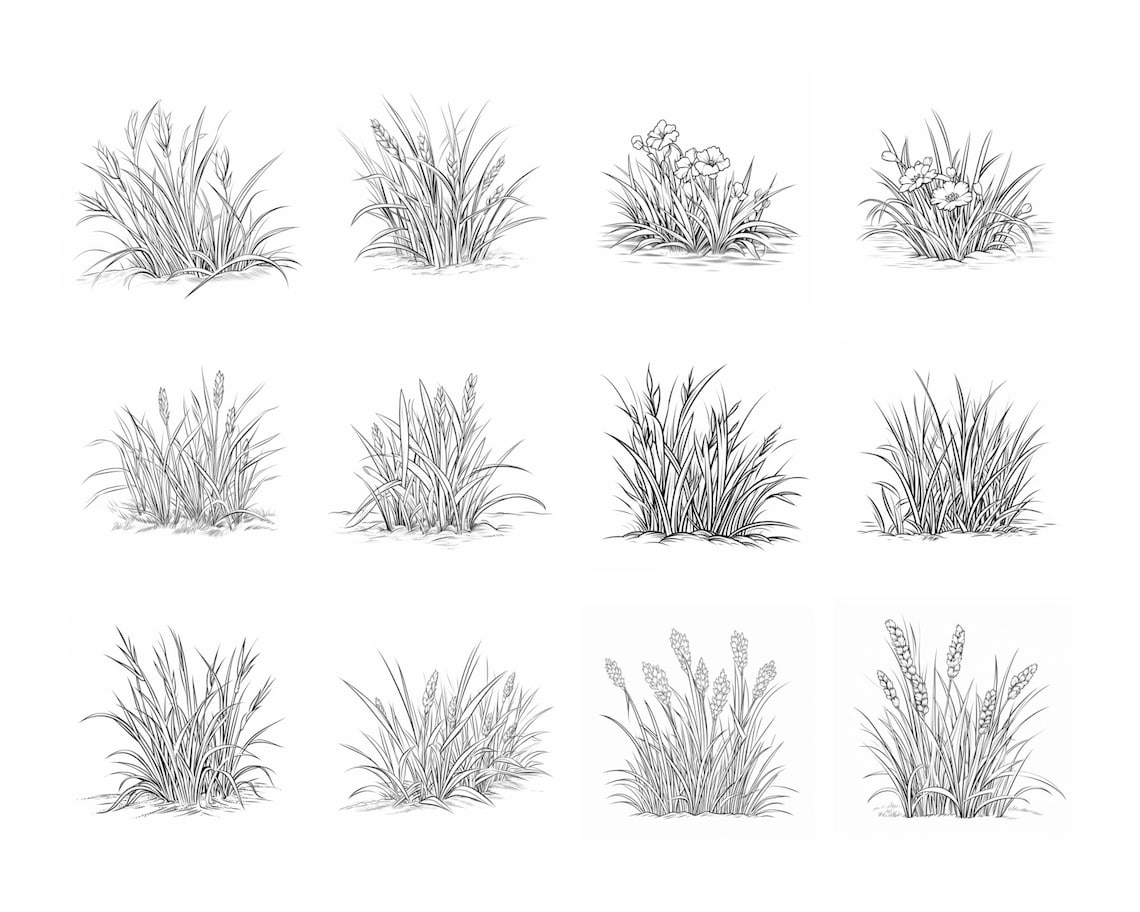 120 Procreate Grass Stamps Grass Brush for Procreate Plant Etsy