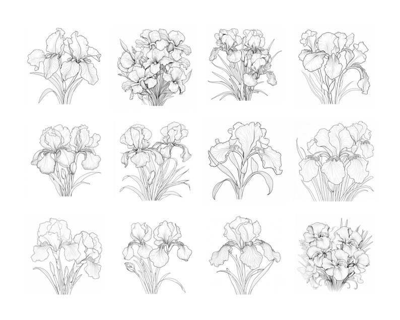 Pode incluir: Um conjunto de doze desenhos em preto e branco de flores de &iacute;ris. As flores s&atilde;o desenhadas em um estilo realista e est&atilde;o dispostas em uma variedade de poses.