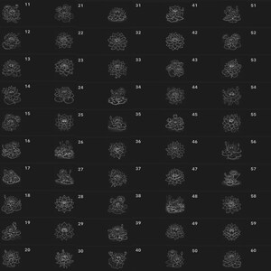 May include: A grid of 60 black and white illustrations of lotus flowers in various styles. The illustrations are arranged in rows of 10, with each row numbered from 1 to 10.