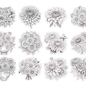 May include: A set of 10 black and white illustrations of chrysanthemums. The illustrations are in various styles, some are single flowers, some are bouquets, and some are in vases.