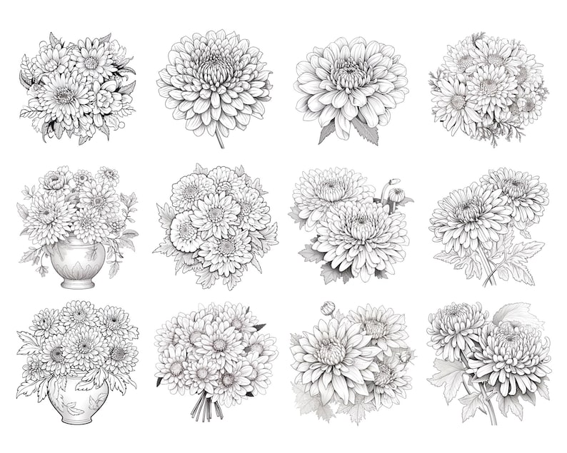 May include: A set of 10 black and white illustrations of chrysanthemums. The illustrations are in various styles, some are single flowers, some are bouquets, and some are in vases.