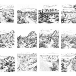 May include: A set of 12 black and white illustrations depicting different desert landscapes. Each illustration features a winding path, rocky terrain, and various desert plants, including Joshua trees and cacti.