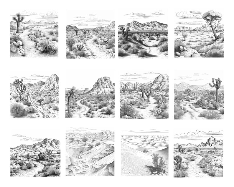 May include: A set of 12 black and white illustrations depicting different desert landscapes. Each illustration features a winding path, rocky terrain, and various desert plants, including Joshua trees and cacti.