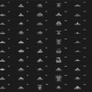 May include: A set of 120 black and white illustrations of tree roots. The illustrations are arranged in rows of 12, with each row numbered from 61 to 120.