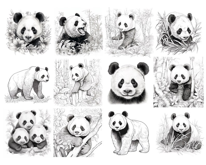 120 Procreate Panda Stamps, Panda Brush for Procreate, Cute Animal ...