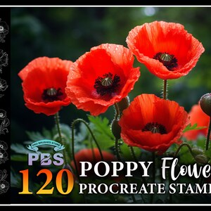 120 Procreate Poppy Stamps, Poppy Flower brush for procreate, Flower procreate stamps, Poppy stamp for procreate.